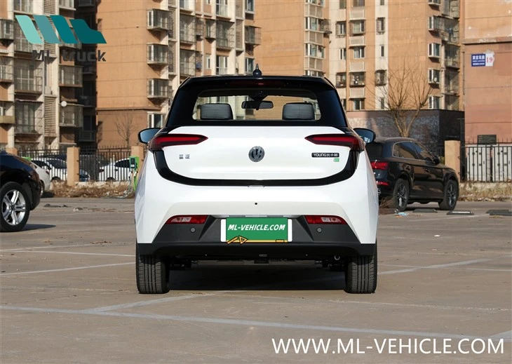 EV House Young Light XiaoXin