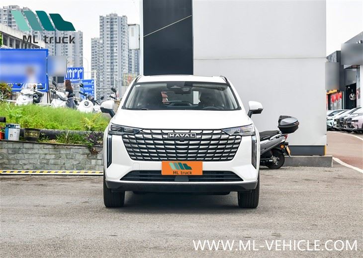 2024 HAVAL H6 SUV