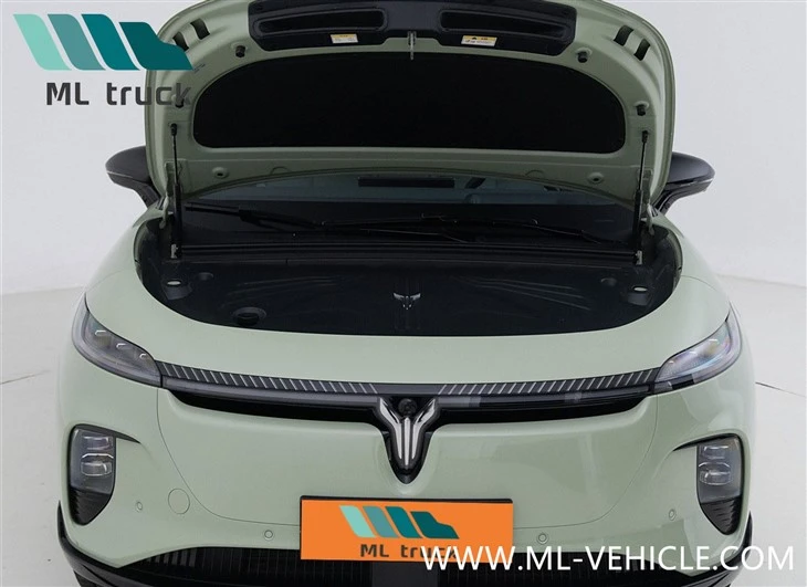 2024 Voyah ZhiYin EV SUV