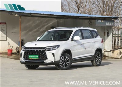 2024 DongFeng Forthing T5 SUV